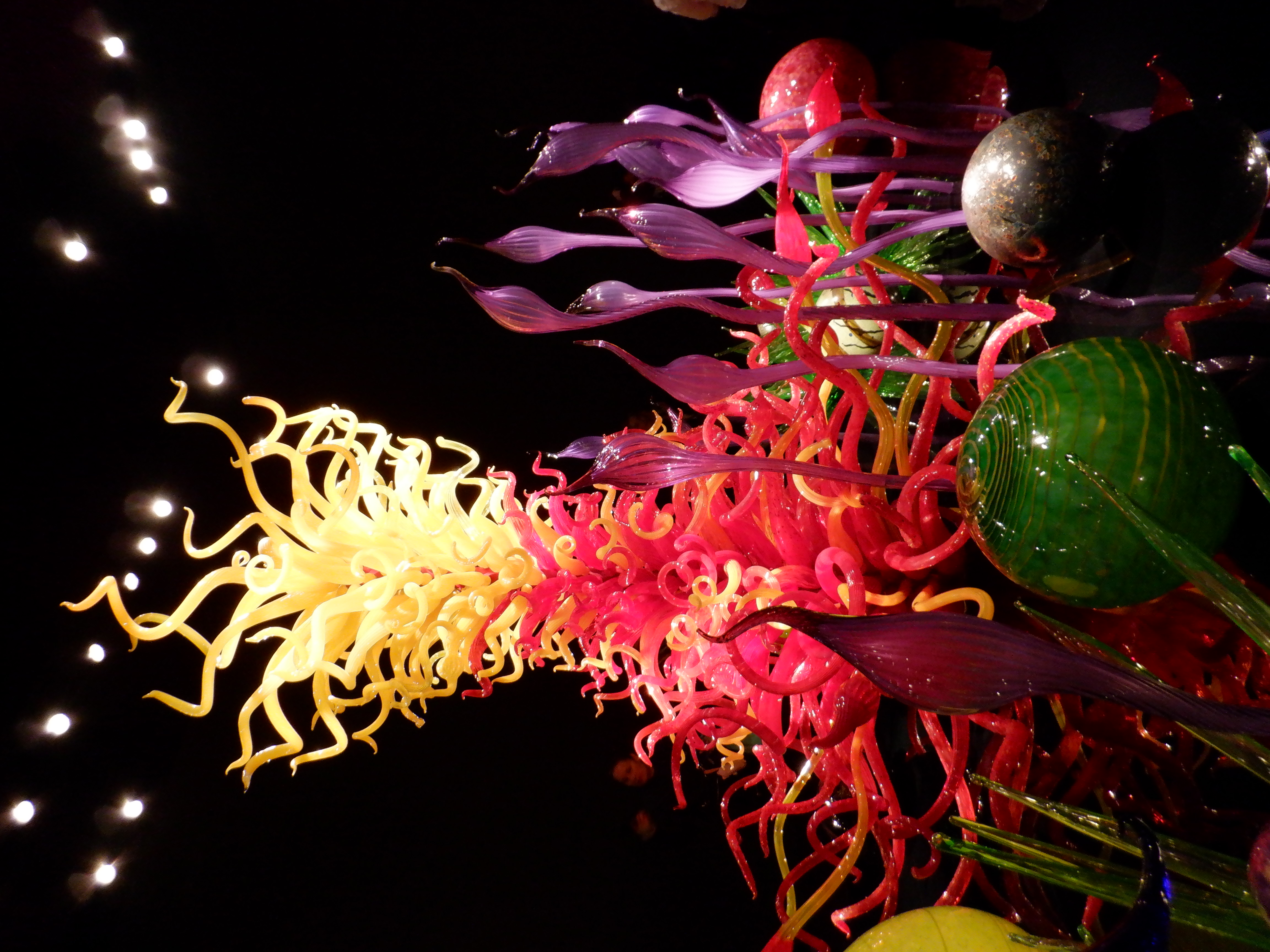 ./2020/03 - Seattle/DSCF1209.JPG